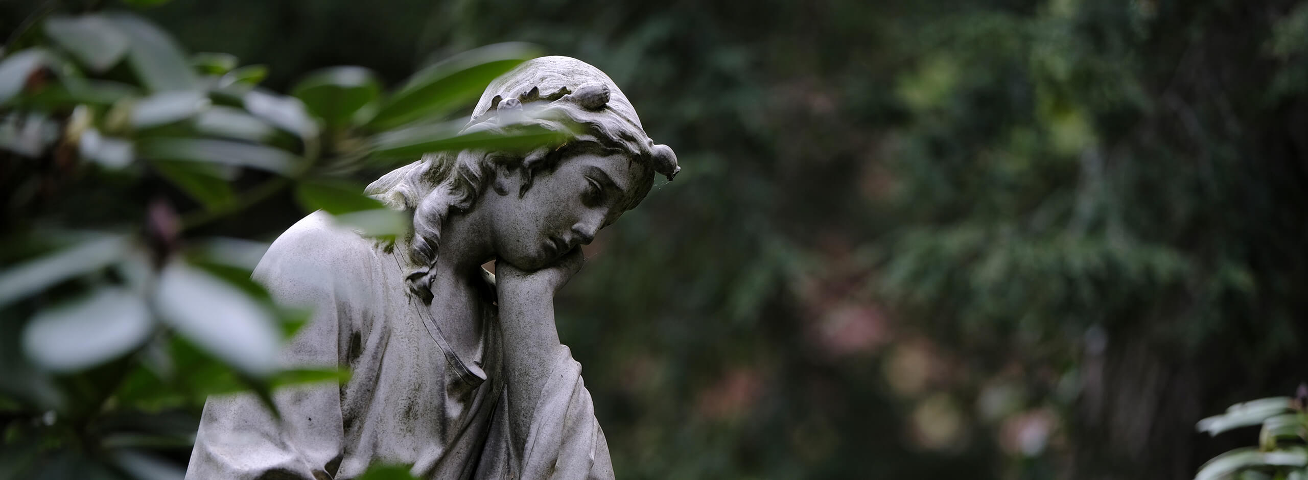 Photo by Thea Hdc on Unsplash